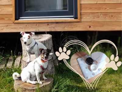  We are "dog-friendly."